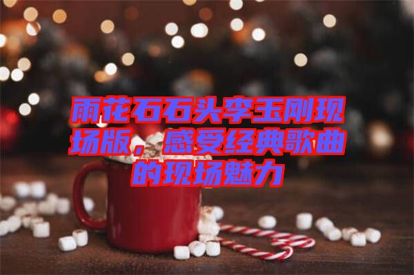 雨花石石頭李玉剛現(xiàn)場(chǎng)版，感受經(jīng)典歌曲的現(xiàn)場(chǎng)魅力