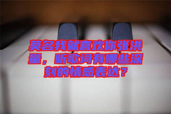 莫名我就喜歡你張洪量，聽歌詞有哪些深刻的情感表達？