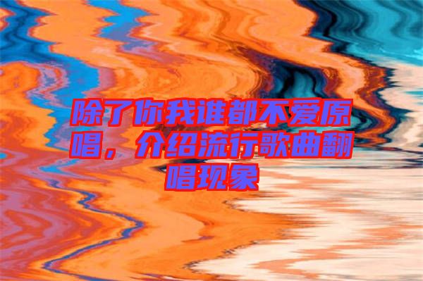 除了你我誰都不愛原唱，介紹流行歌曲翻唱現(xiàn)象