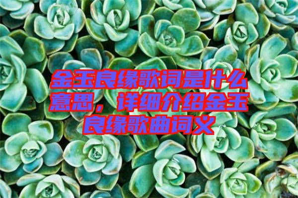 金玉良緣歌詞是什么意思，詳細(xì)介紹金玉良緣歌曲詞義