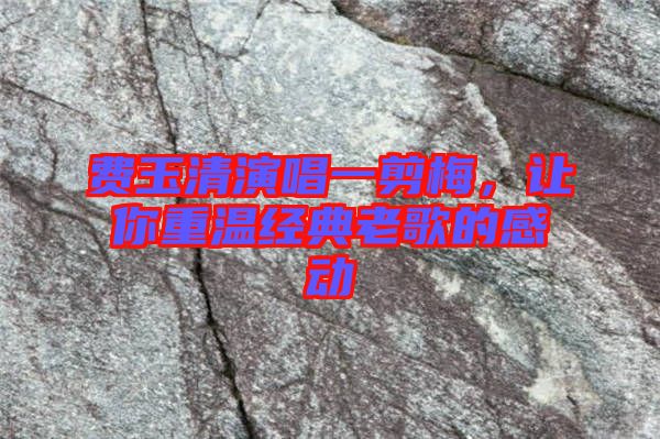 費玉清演唱一剪梅，讓你重溫經(jīng)典老歌的感動