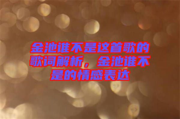 金池誰(shuí)不是這首歌的歌詞解析，金池誰(shuí)不是的情感表達(dá)