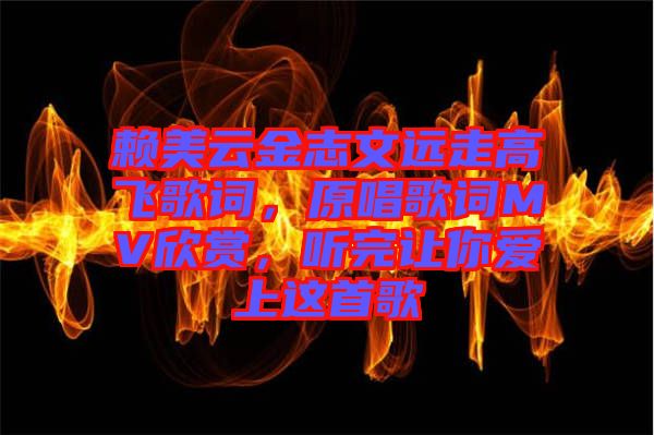 賴美云金志文遠走高飛歌詞，原唱歌詞MV欣賞，聽完讓你愛上這首歌