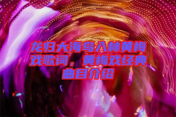 龍歸大海鳥入林黃梅戲歌詞，黃梅戲經(jīng)典曲目介紹