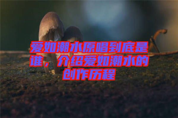 愛如潮水原唱到底是誰，介紹愛如潮水的創(chuàng)作歷程