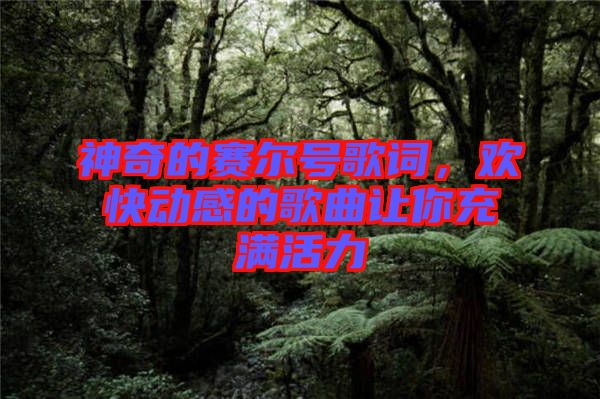 神奇的賽爾號歌詞，歡快動感的歌曲讓你充滿活力