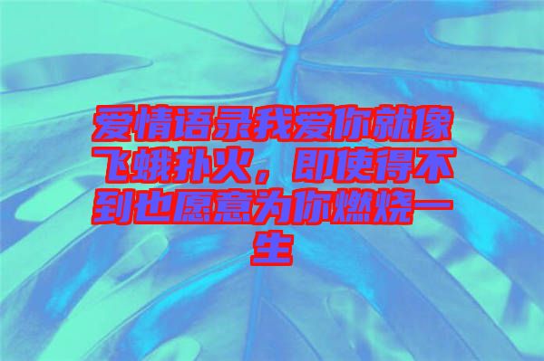 愛情語(yǔ)錄我愛你就像飛蛾撲火，即使得不到也愿意為你燃燒一生