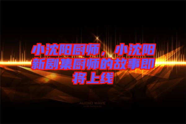 小沈陽廚師，小沈陽新劇集廚師的故事即將上線