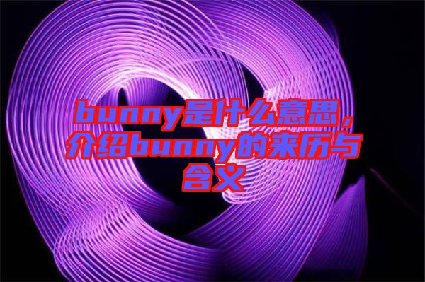 bunny是什么意思，介紹bunny的來(lái)歷與含義