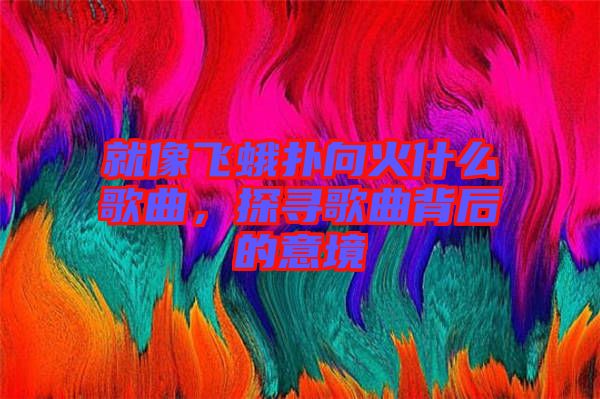 就像飛蛾撲向火什么歌曲，探尋歌曲背后的意境