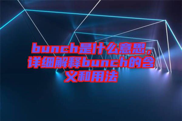 bunch是什么意思，詳細解釋bunch的含義和用法