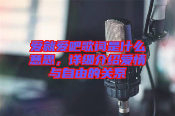 愛就愛吧歌詞是什么意思，詳細(xì)介紹愛情與自由的關(guān)系