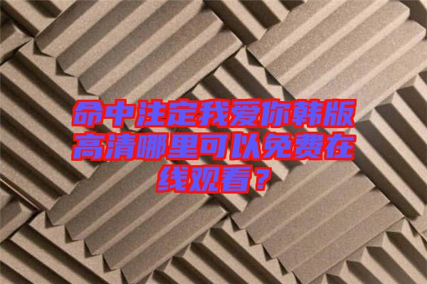 命中注定我愛你韓版高清哪里可以免費(fèi)在線觀看？