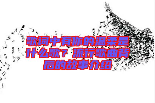 歌詞中有你的溫柔是什么歌？流行歌曲背后的故事介紹