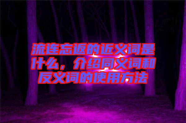 流連忘返的近義詞是什么，介紹同義詞和反義詞的使用方法