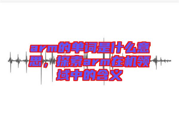 arm的單詞是什么意思，探索arm在機領(lǐng)域中的含義