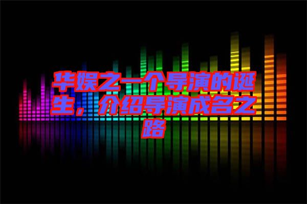 華娛之一個導演的誕生，介紹導演成名之路