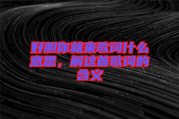 好膽你就來歌詞什么意思，解這首歌詞的含義