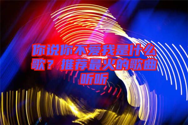 你說你不愛我是什么歌？推薦最火的歌曲聽聽