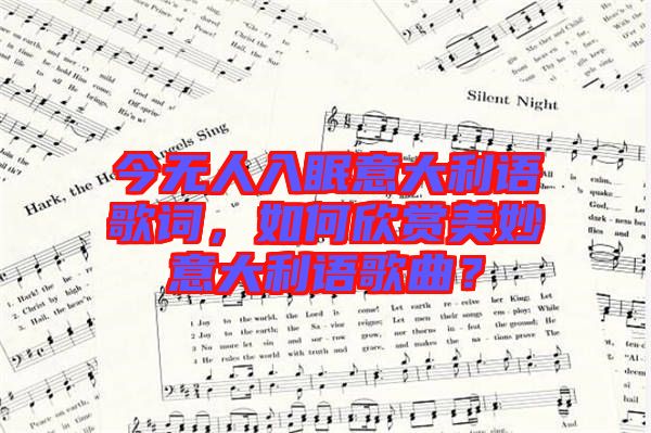 今無人入眠意大利語歌詞，如何欣賞美妙意大利語歌曲？