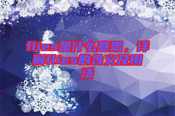 flies是什么意思，詳解flies的含義及用法