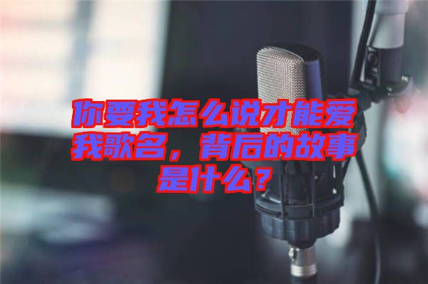 你要我怎么說(shuō)才能愛我歌名，背后的故事是什么？