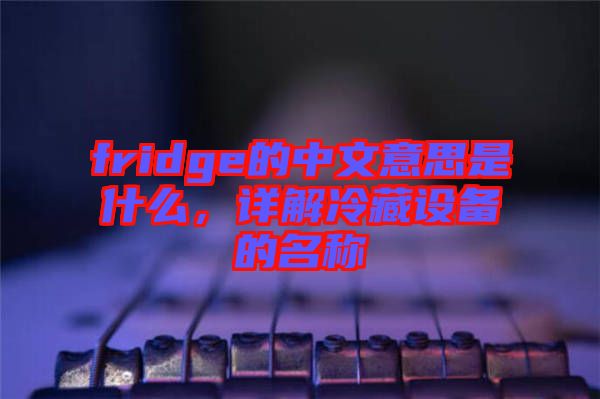 fridge的中文意思是什么，詳解冷藏設備的名稱