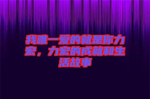 我唯一愛(ài)的就是你力宏，力宏的成就和生活故事