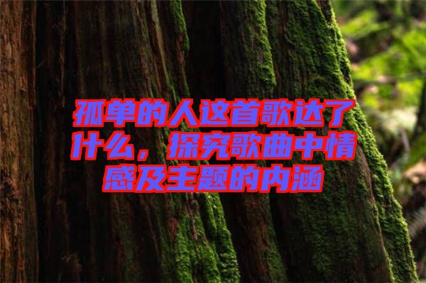 孤單的人這首歌達(dá)了什么，探究歌曲中情感及主題的內(nèi)涵