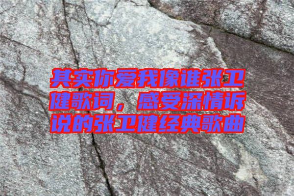 其實你愛我像誰張衛(wèi)健歌詞，感受深情訴說的張衛(wèi)健經(jīng)典歌曲