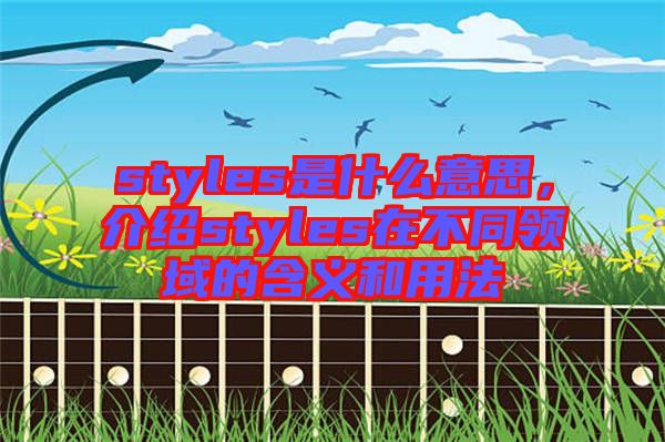 styles是什么意思，介紹styles在不同領域的含義和用法