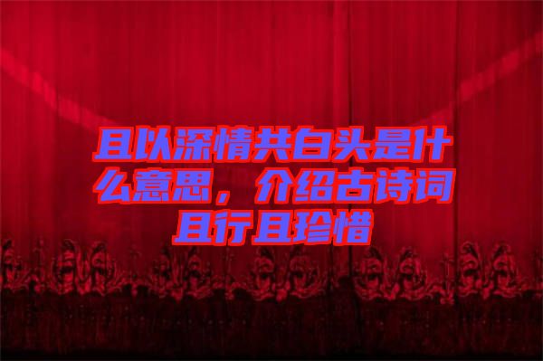 且以深情共白頭是什么意思，介紹古詩(shī)詞且行且珍惜