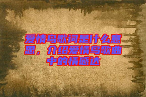 愛情鳥歌詞是什么意思，介紹愛情鳥歌曲中的情感達