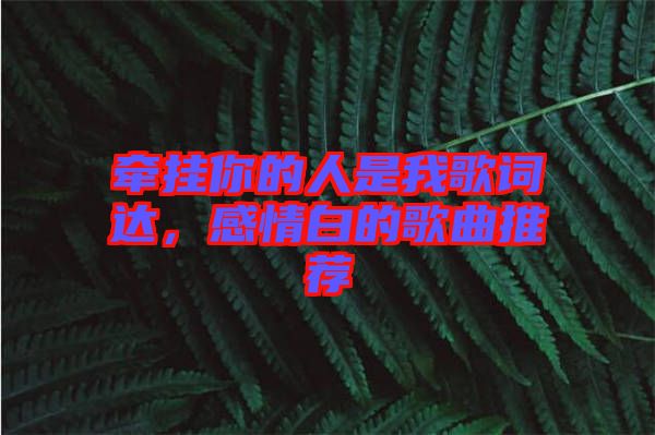 牽掛你的人是我歌詞達(dá)，感情白的歌曲推薦