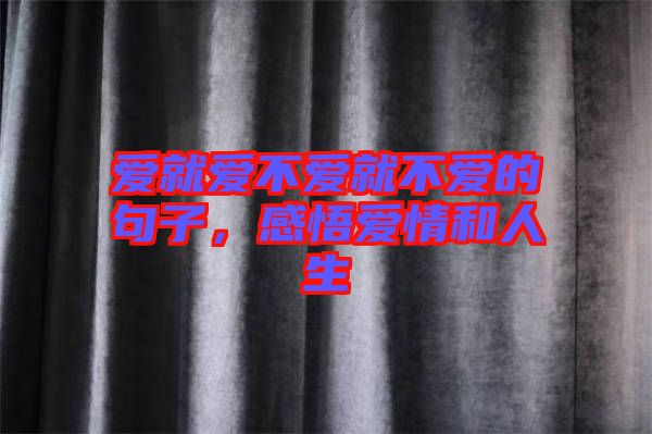 愛就愛不愛就不愛的句子，感悟愛情和人生