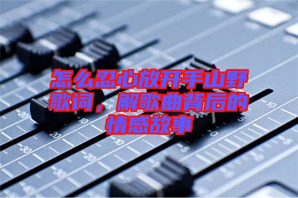 怎么忍心放開手山野歌詞，解歌曲背后的情感故事