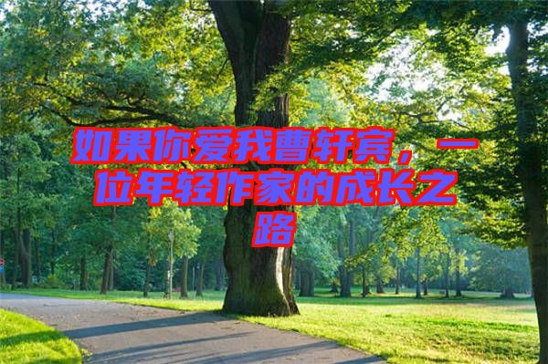 如果你愛我曹軒賓，一位年輕作家的成長之路