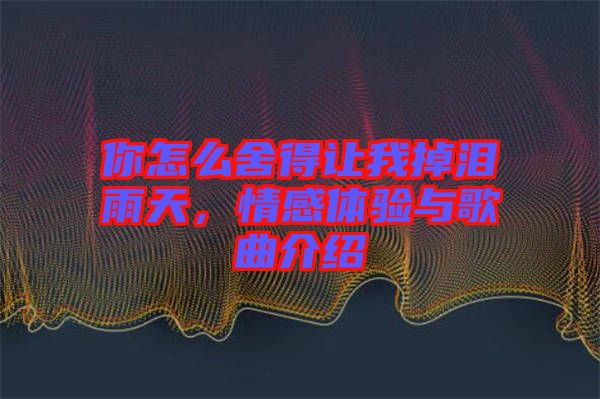 你怎么舍得讓我掉淚雨天，情感體驗(yàn)與歌曲介紹