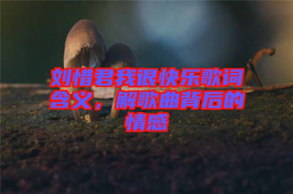 劉惜君我很快樂(lè)歌詞含義，解歌曲背后的情感