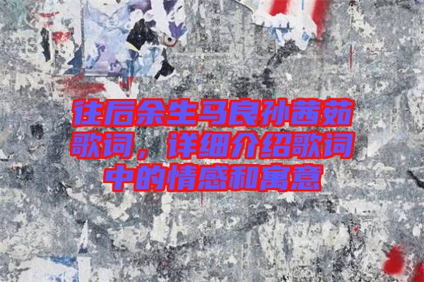 往后余生馬良孫茜茹歌詞，詳細介紹歌詞中的情感和寓意