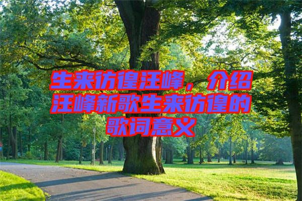 生來彷徨汪峰，介紹汪峰新歌生來彷徨的歌詞意義