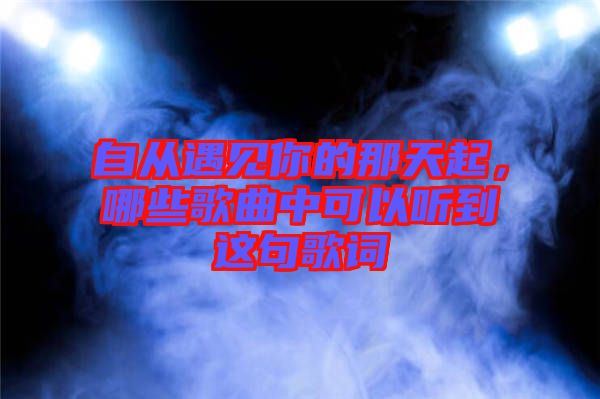 自從遇見你的那天起，哪些歌曲中可以聽到這句歌詞