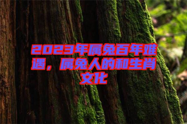 2023年屬兔百年難遇，屬兔人的和生肖文化