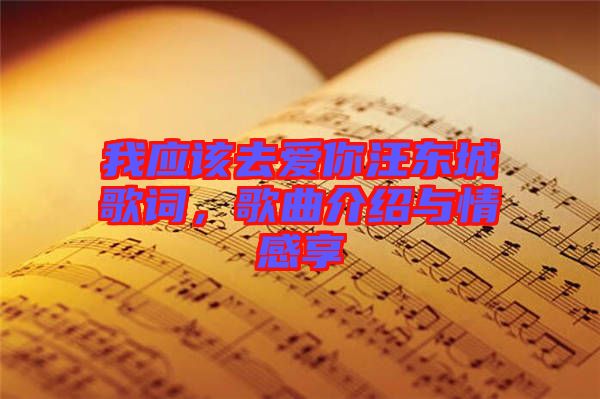 我應(yīng)該去愛你汪東城歌詞，歌曲介紹與情感享