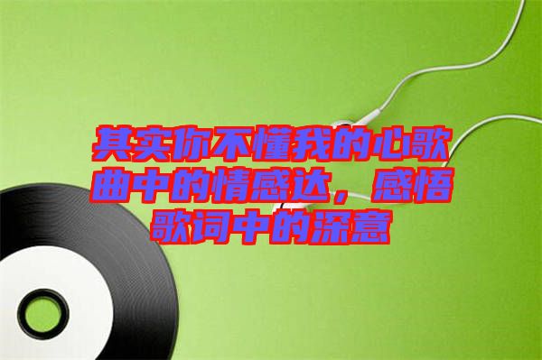 其實你不懂我的心歌曲中的情感達(dá)，感悟歌詞中的深意