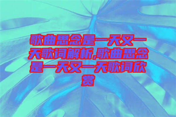 歌曲思念是一天又一天歌詞解析,歌曲思念是一天又一天歌詞欣賞