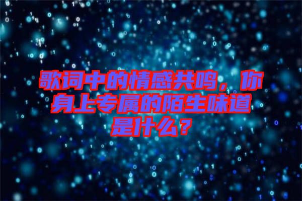 歌詞中的情感共鳴，你身上專屬的陌生味道是什么？