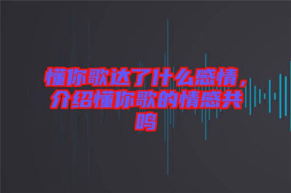 懂你歌達了什么感情，介紹懂你歌的情感共鳴