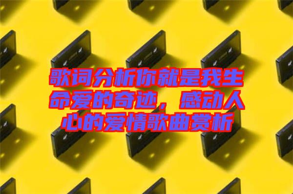 歌詞分析你就是我生命愛的奇跡，感動人心的愛情歌曲賞析