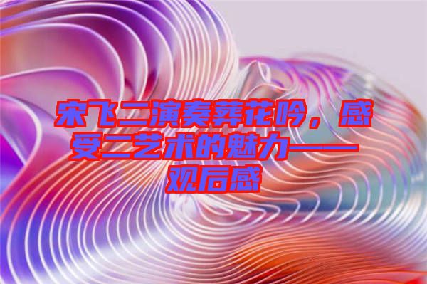 宋飛二演奏葬花吟，感受二藝術(shù)的魅力——觀后感